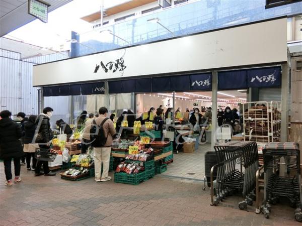 スーパー　八百鮮 空堀店（スーパー）まで520m
