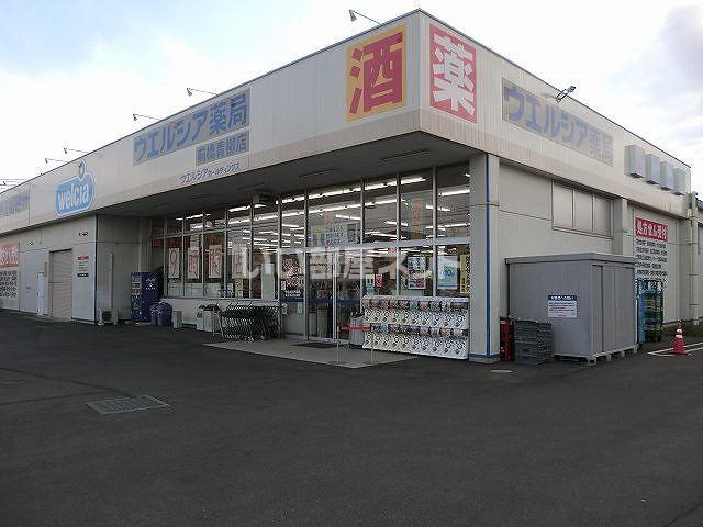 ドラックストア　ウエルシア前橋青柳店（ドラッグストア）まで801m