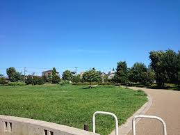公園　杉並区立桃井原っぱ公園（公園）まで221m