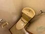 トイレ　トイレです。ウォシュレット付を探している方、おすすめです！