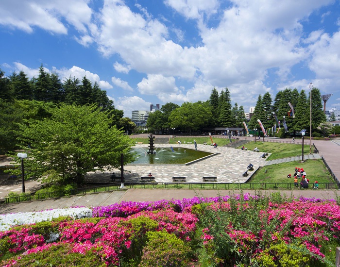公園　世田谷公園（公園）まで600m