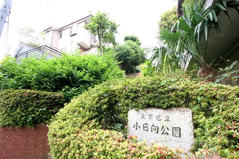 公園　小日向公園（公園）まで893m