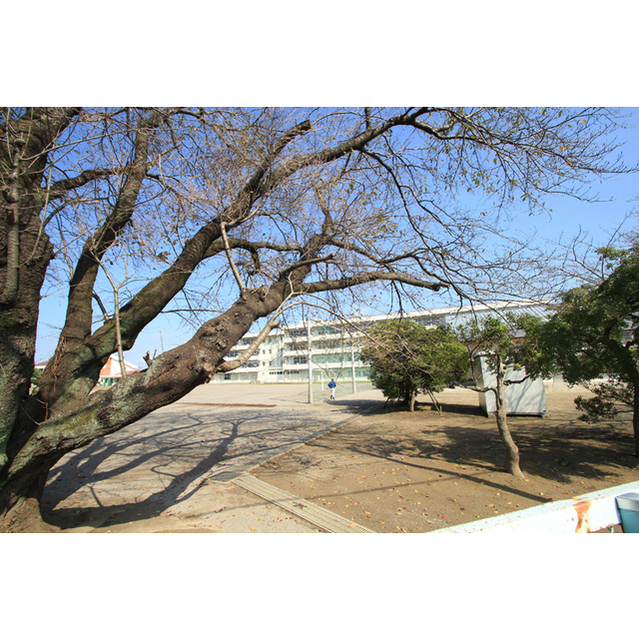 中学校　土浦市立土浦第三中学校（中学校）まで1285m
