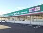 ドラックストア　ドラッグセイムス　与野鈴谷店（ドラッグストア）まで800m