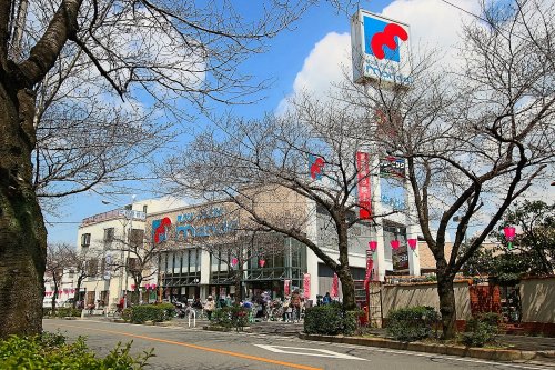 スーパー　mandai(万代) 花園店（スーパー）まで774m