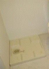 その他設備　洗濯機置き場