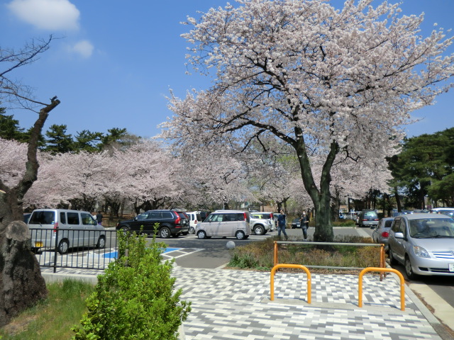 【カーサパティオの公園】