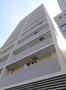 ＡＺＥＳＴ亀戸 8階 築13年10ヶ月の賃貸物件
