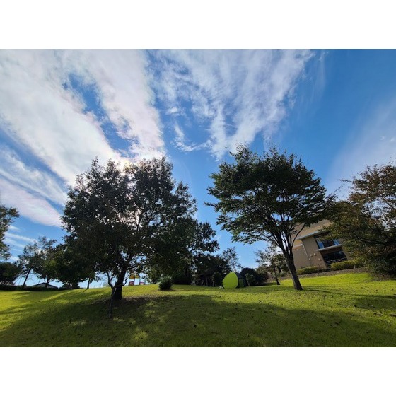 公園　丸山公園（公園）まで2078m