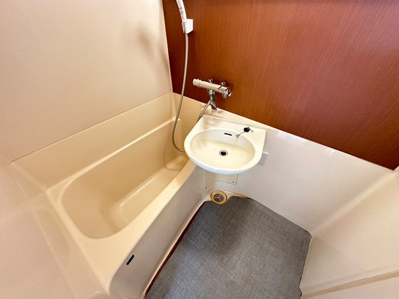 バス・シャワールーム　※別部屋の写真です