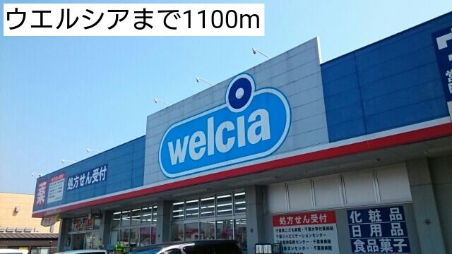 ドラックストア　ウエルシア（ドラッグストア）まで1100m