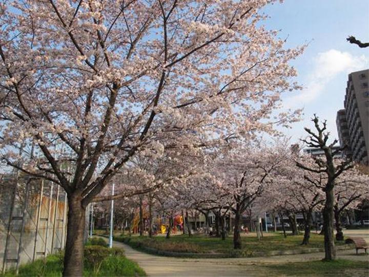 公園　本庄公園（公園）まで400m