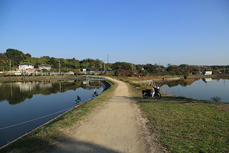 その他　釜谷池群（その他）まで1400m