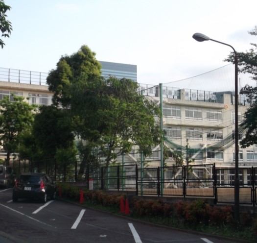 中学校　渋谷区立鉢山中学校（中学校）まで1233m