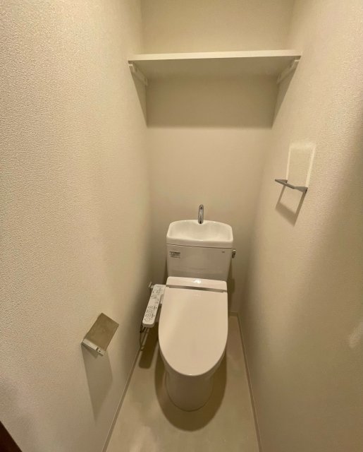 ＪＲ阪和線 鳳駅 徒歩10分 10階建 築7年のトイレ写真
