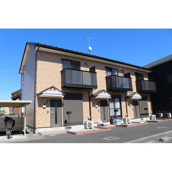 プリムローズ A