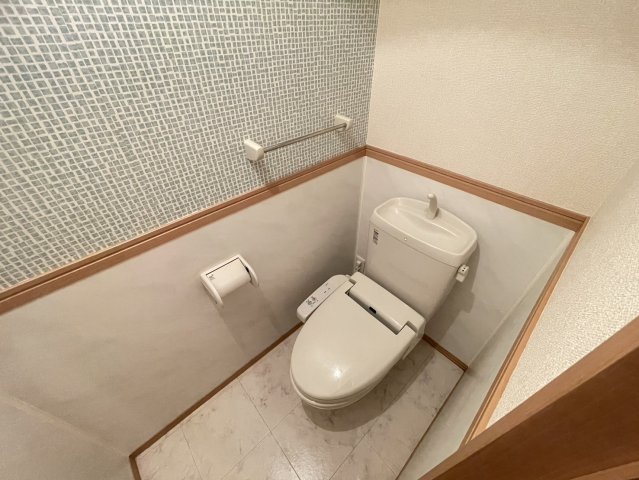 ＪＲ上越線 井野駅 徒歩9分 2階建 築17年のトイレ写真
