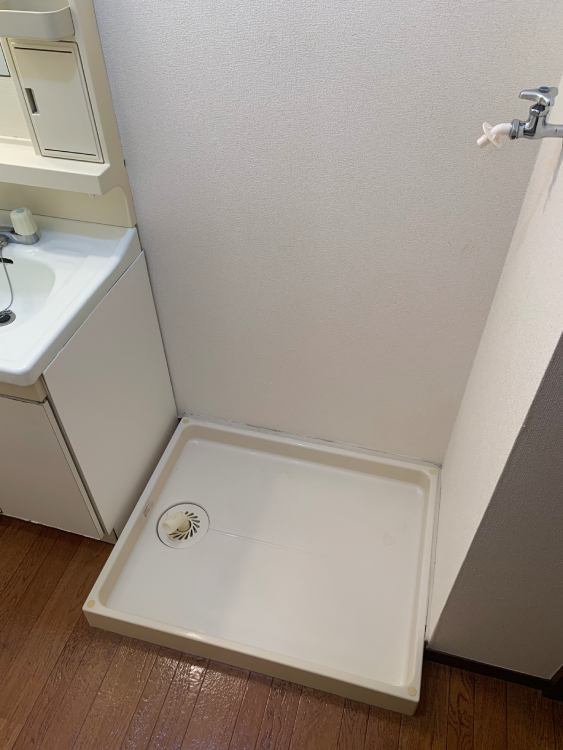 その他　脱衣所内の洗濯機置場