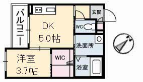 グランドベレオ明治町の間取り