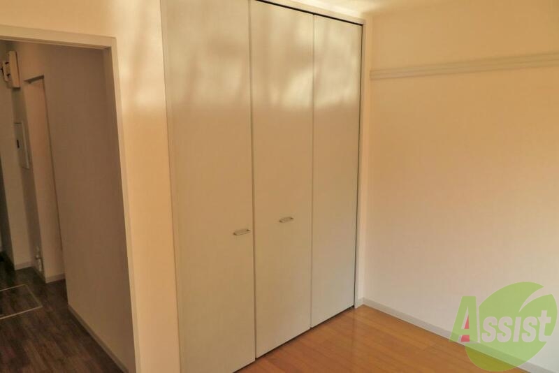 収納　大きめのクローゼット収納がございますので安心ですね。