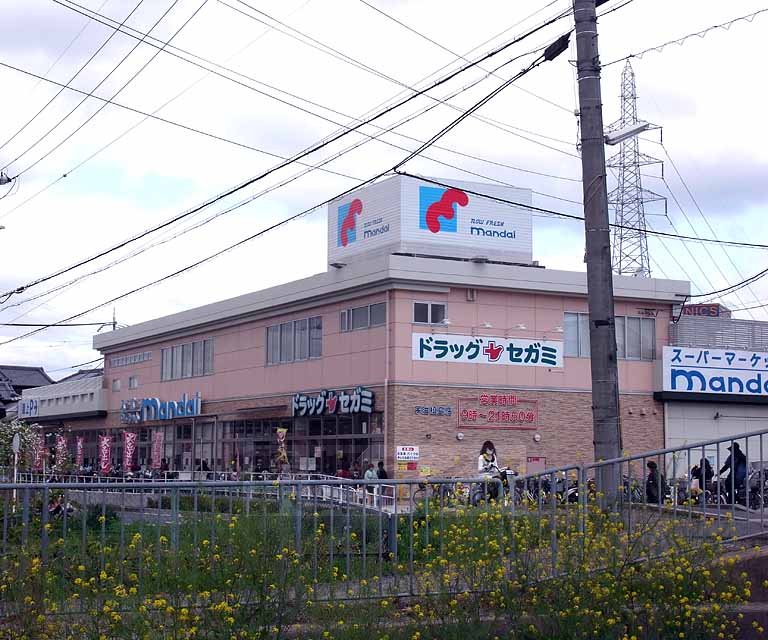 ドラックストア　ドラッグセガミ 宇治槙島店（ドラッグストア）まで246m