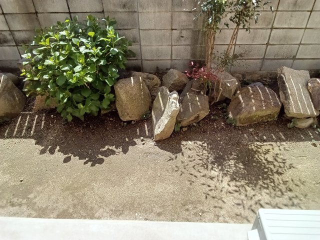 庭
