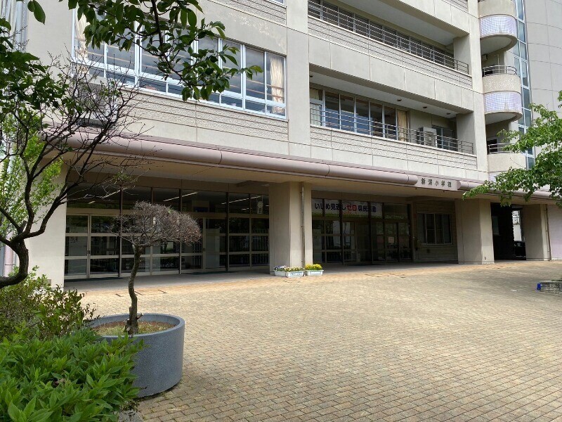 小学校　新潟市立新潟小学校（小学校）まで531m