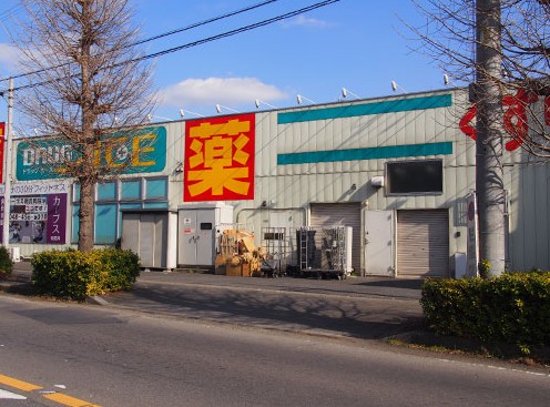 ドラックストア　ドラッグエース岡店（ドラッグストア）まで695m