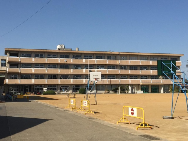 小学校　一宮市立小信中島小学校（小学校）まで836m