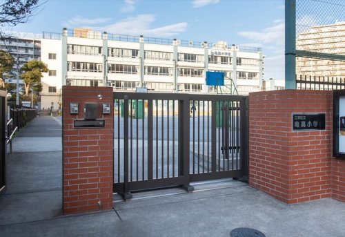 小学校　江東区立亀高小学校（小学校）まで275m