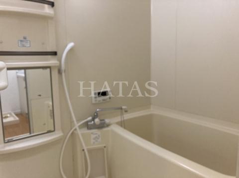 バス・シャワールーム　同物件別部屋です。