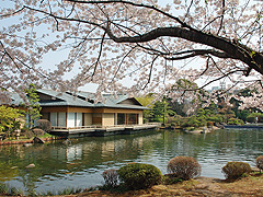 公園　江戸川区立行船公園（公園）まで269m
