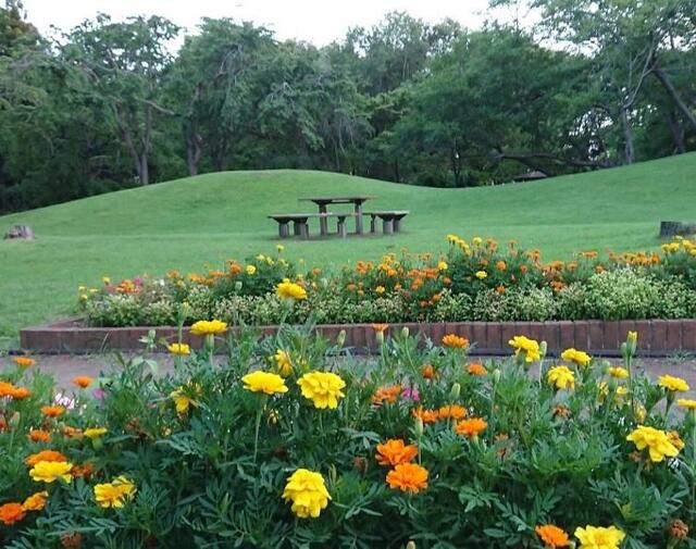公園　赤塚公園（公園）まで450m