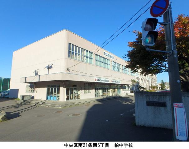 中学校　柏中学校（中学校）まで605m