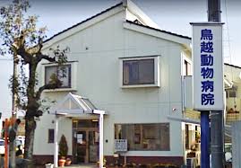 病院　鳥越動物病院（病院）まで433m