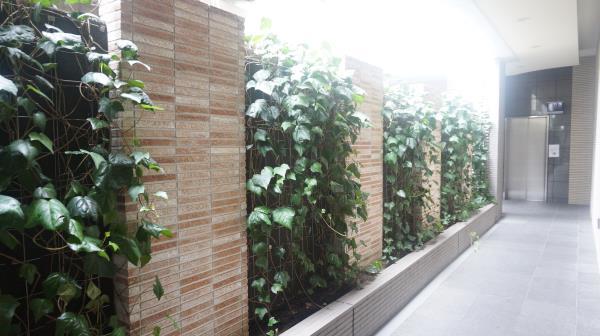 エントランス　ゆとりのあるエントランスです