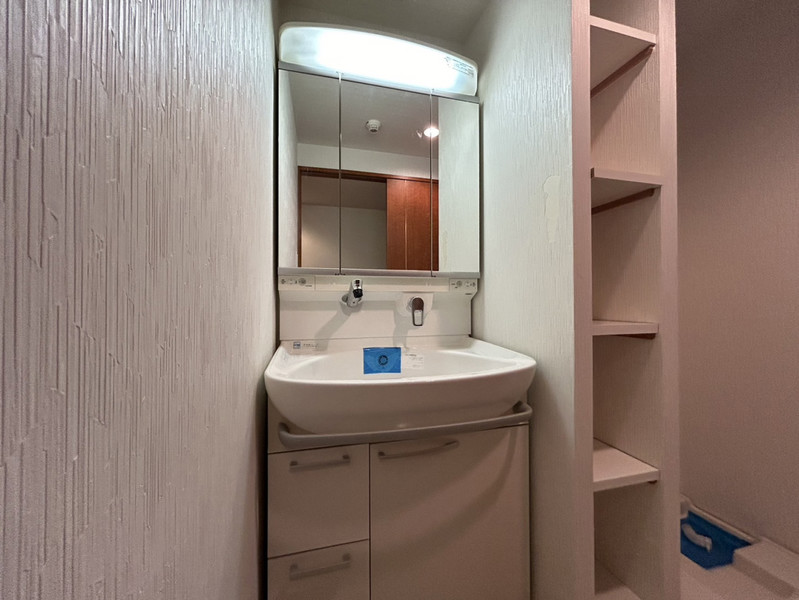 洗面設備　301号室の写真です