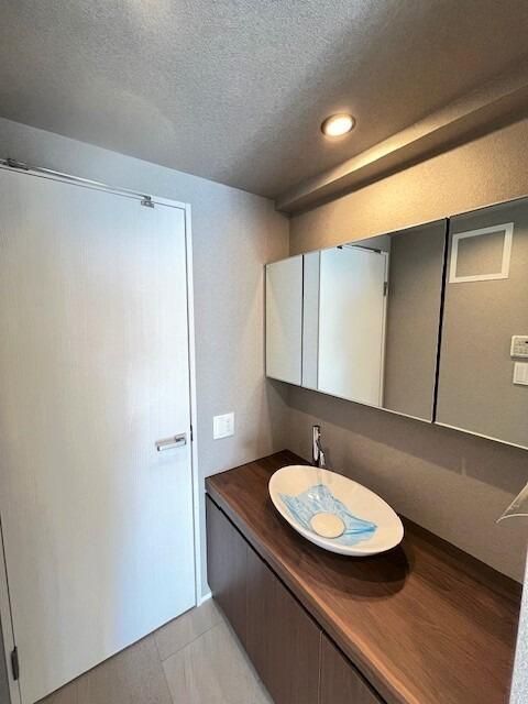 洗面設備　別タイプ部屋です。雰囲気や色味の参考としてご確認ください。