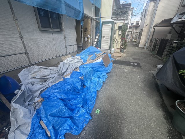 庭