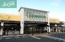 スーパー　ハピッシュ国府市場店（スーパー）まで353m