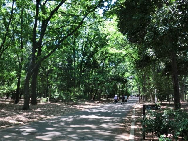 公園　都立光が丘公園北（公園）まで751m