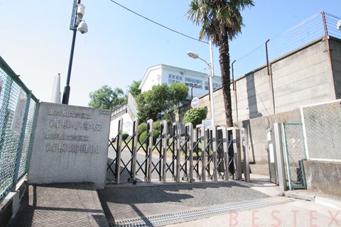 小学校　文京区立青柳小学校（小学校）まで303m