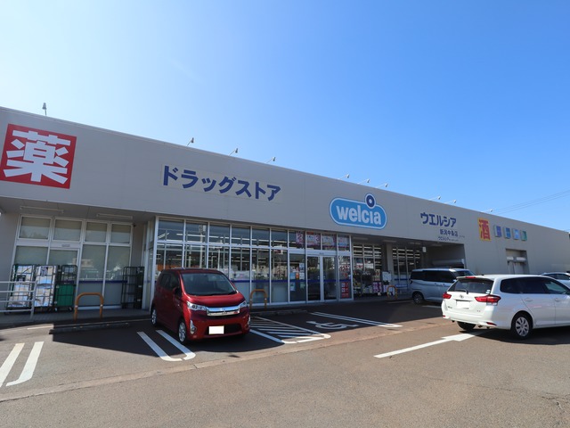 ドラックストア　ウエルシア新潟中条店（ドラッグストア）まで2574m