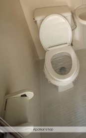 小田急小田原線 渋沢駅 徒歩18分 2階建 築36年のトイレ写真