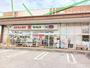 ドラックストア　ドラッグセイムス柏あけぼの店（ドラッグストア）まで650m