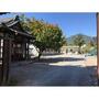 幼稚園・保育園　たちばな幼稚園（幼稚園・保育園）まで1406m