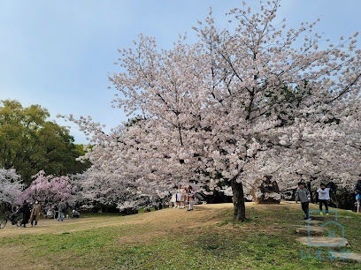 公園　長居公園（公園）まで1033m