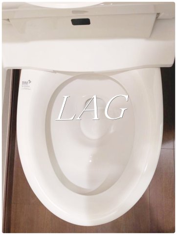 トイレ　トイレです。