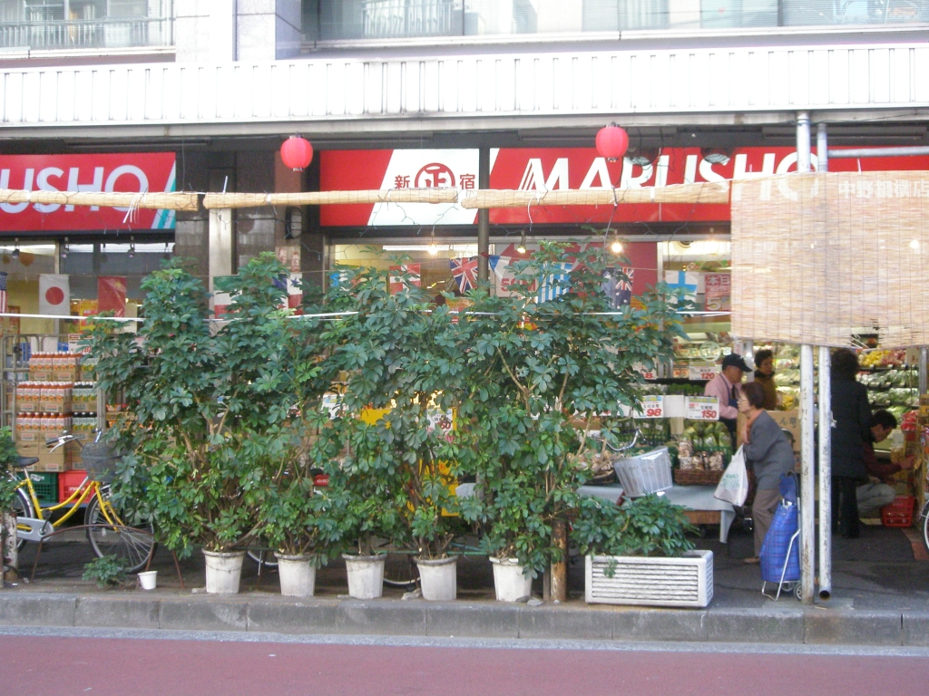 スーパー　丸正食品 Pico 中野新橋店（スーパー）まで572m