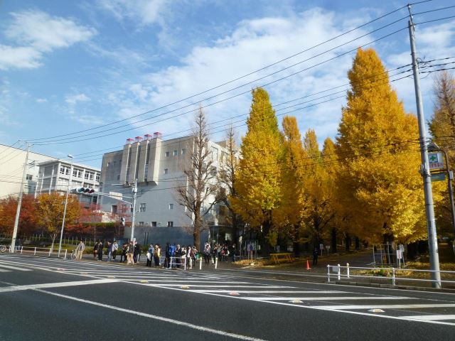 大学・短大　慶應義塾大学日吉キャンパス（大学・短大）まで1200m